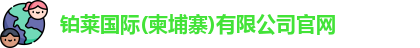 铂莱国际